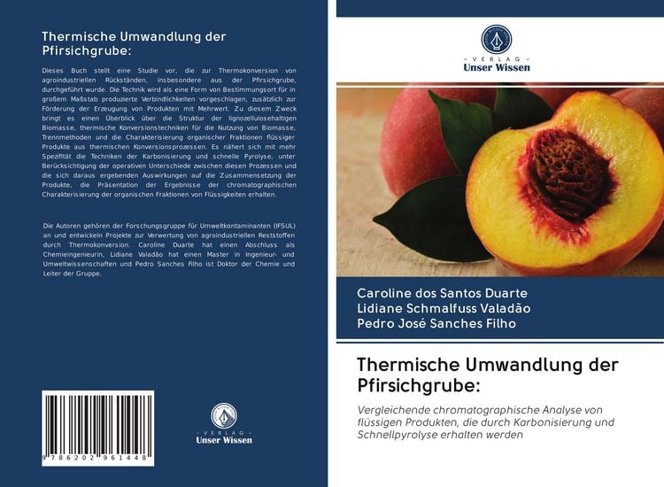 Produktbild: Thermische Umwandlung der Pfirsichgrube: