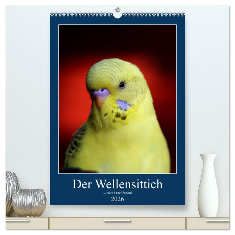 Produktbild: Der Wellensittich - mein bester Freund (hochwertiger Premium Wandkalender 2026 DIN A2 hoch), Kunstdruck in Hochglanz