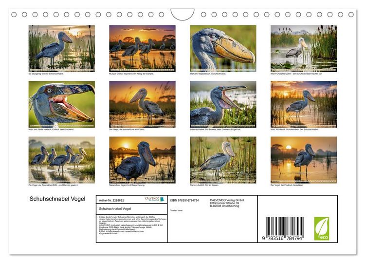 Produktbild: Schuhschnabel Vogel (Wandkalender 2027 DIN A4 quer), CALVENDO Monatskalender