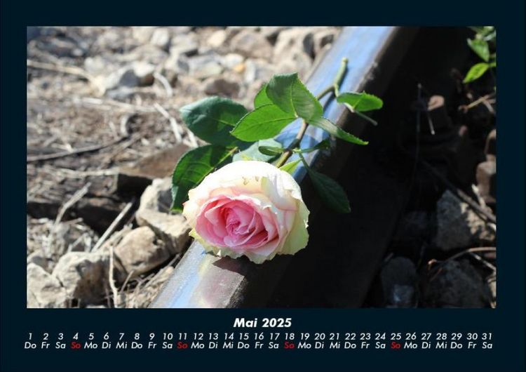 Produktbild: Blumenkalender 2025 Fotokalender DIN A4