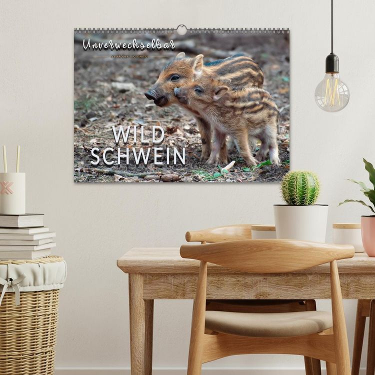 Produktbild: Unverwechselbar - Wildschwein (Wandkalender 2026 DIN A3 quer), CALVENDO Monatskalender