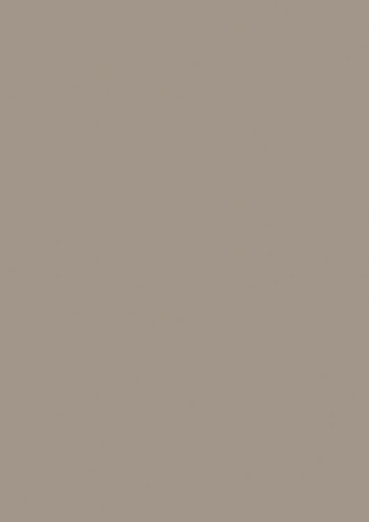 Produktbild: Brunnen Universalpapier A4 120g taupe 35Bl