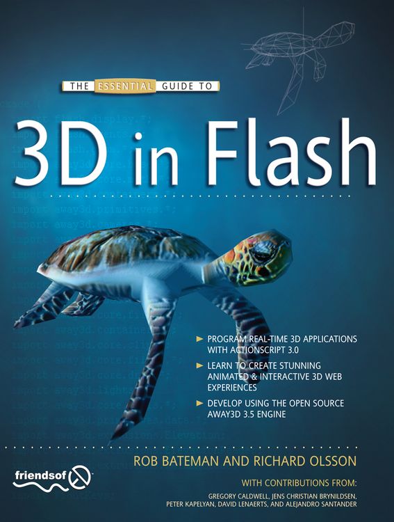 Produktbild: The Essential Guide to 3D in Flash