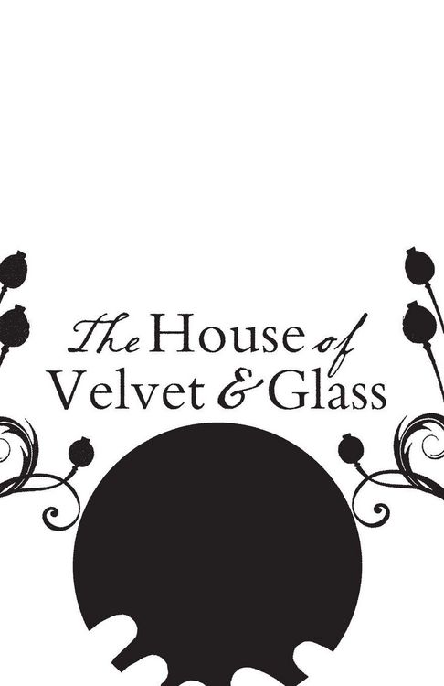 Produktbild: The House of Velvet and Glass