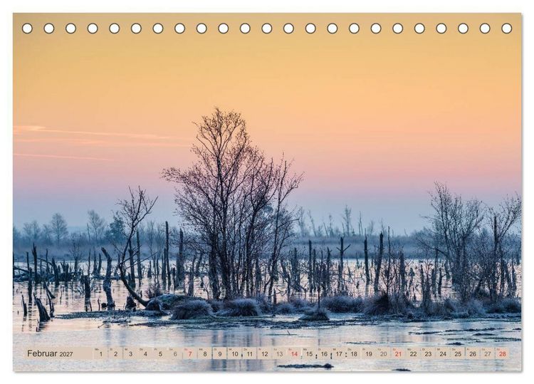 Produktbild: Deutschlands Moore (Tischkalender 2027 DIN A5 quer), CALVENDO Monatskalender