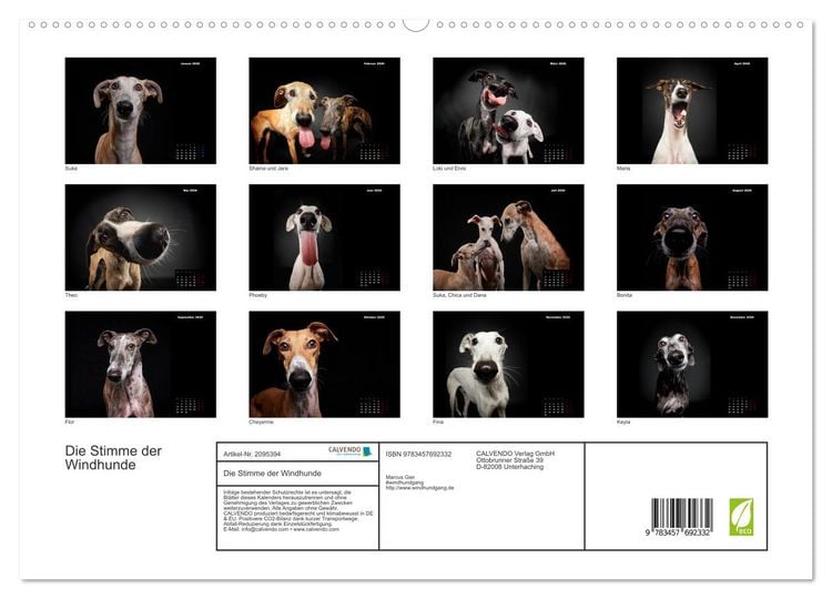 Produktbild: Die Stimme der Windhunde (hochwertiger Premium Wandkalender 2026 DIN A2 quer), Kunstdruck in Hochglanz