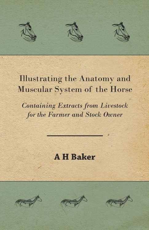 Produktbild: Illustrating the Anatomy and Muscular System of the Horse - Containing Extracts from Livestock for the Farmer and Stock Owner