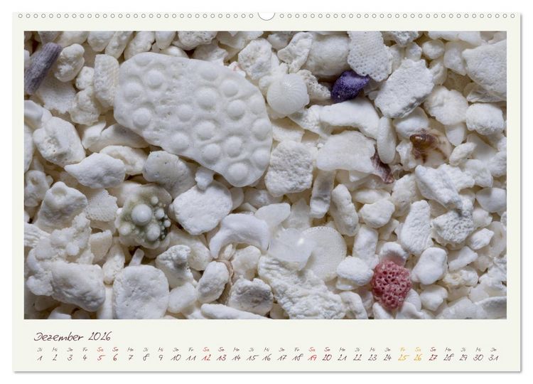 Produktbild: Abenteuer Mikrofotografie Sand (hochwertiger Premium Wandkalender 2026 DIN A2 quer), Kunstdruck in Hochglanz