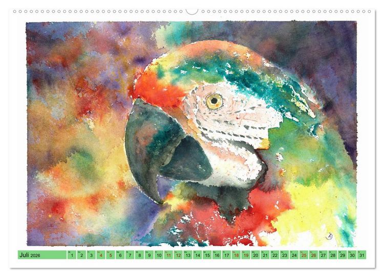 Produktbild: Faszination V&ouml;gel im Aquarell - Expressionistische Kunst von Doris Kr&uuml;ger (Wandkalender 2026 DIN A2 quer), CALVENDO Monatskalender