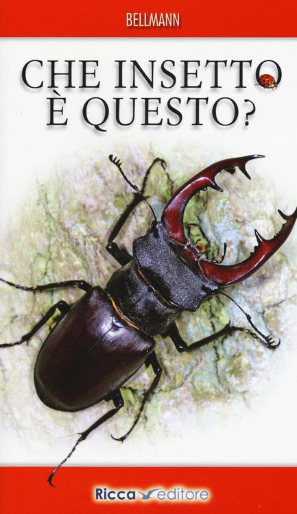 Produktbild: Che insetto è questo?