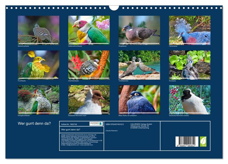 Produktbild: Wer gurrt denn da? (Wandkalender 2026 DIN A3 quer), CALVENDO Monatskalender