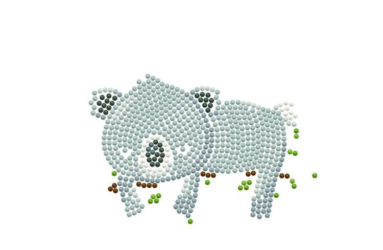 Produktbild: DOTZIES BY DIAMOND DOTZ - Diamond Painting Etui Koala