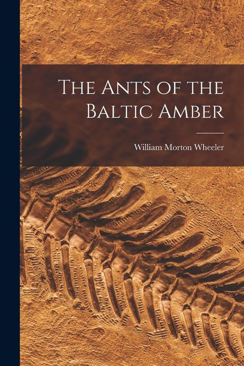Produktbild: The Ants of the Baltic Amber