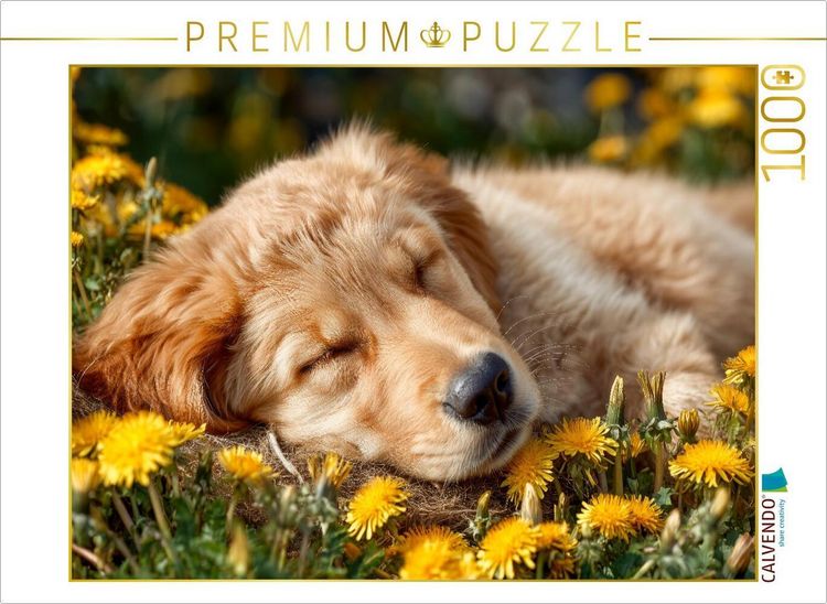 Produktbild: CALVENDO Puzzle Tr&auml;umender Golden Retriever-Welpe - Sanfte Ruhe in der Fr&uuml;hlingswiese | 1000 Teile Lege-Gr&ouml;&szlig;e 64x48cm Foto-Puzzle f&uuml;r gl&uuml;ckliche Stund