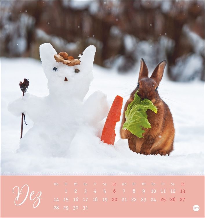 Produktbild: S&uuml;&szlig;e Kaninchen Postkartenkalender 2026