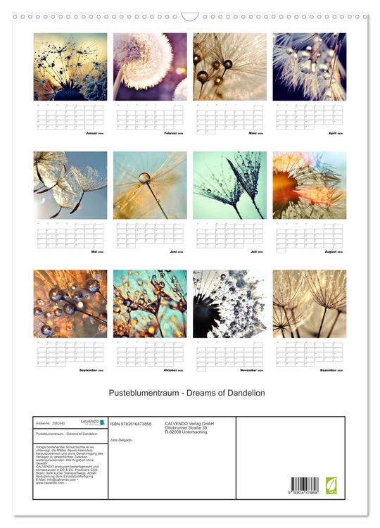 Produktbild: Pusteblumentraum - Dreams of Dandelion (Wandkalender 2026 DIN A2 hoch), CALVENDO Monatskalender