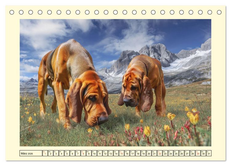 Produktbild: Bloodhound Momente. Zielstrebige Schn&uuml;ffler mit treuer Seele (Tischkalender 2026 DIN A5 quer), CALVENDO Monatskalender