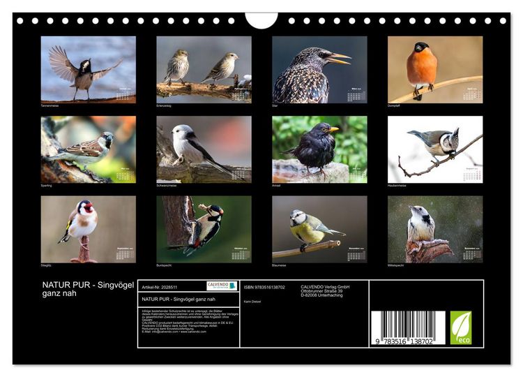 Produktbild: NATUR PUR - Singv&ouml;gel ganz nah (Wandkalender 2026 DIN A4 quer), CALVENDO Monatskalender