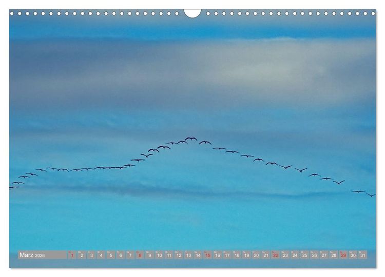 Produktbild: KranichRomantik (Wandkalender 2026 DIN A3 quer), CALVENDO Monatskalender