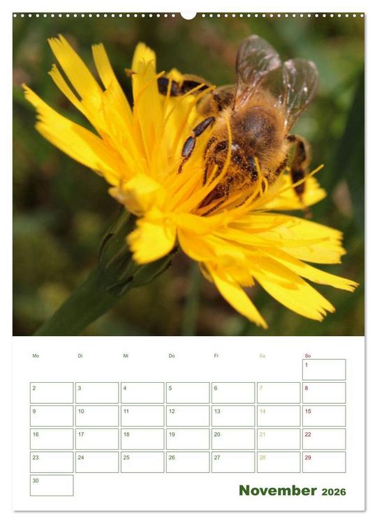Produktbild: Bienen-Terminplaner 2026 (Wandkalender 2026 DIN A2 hoch), CALVENDO Monatskalender