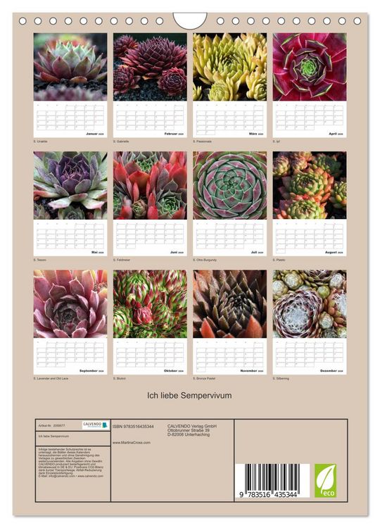 Produktbild: Ich liebe Sempervivum (Wandkalender 2026 DIN A4 hoch), CALVENDO Monatskalender