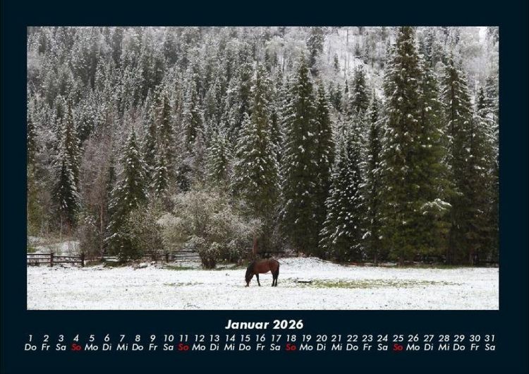 Produktbild: Die Welt der Pferde 2026 Fotokalender DIN A4