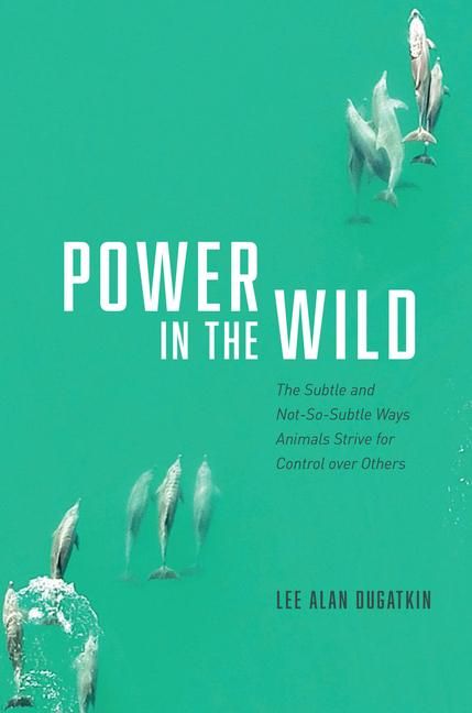 Produktbild: Power in the Wild