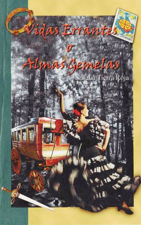 Produktbild: Vidas errantes o almas gemelas