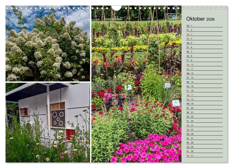 Produktbild: Gartenschau in Erfurt (Wandkalender 2026 DIN A3 quer), CALVENDO Monatskalender