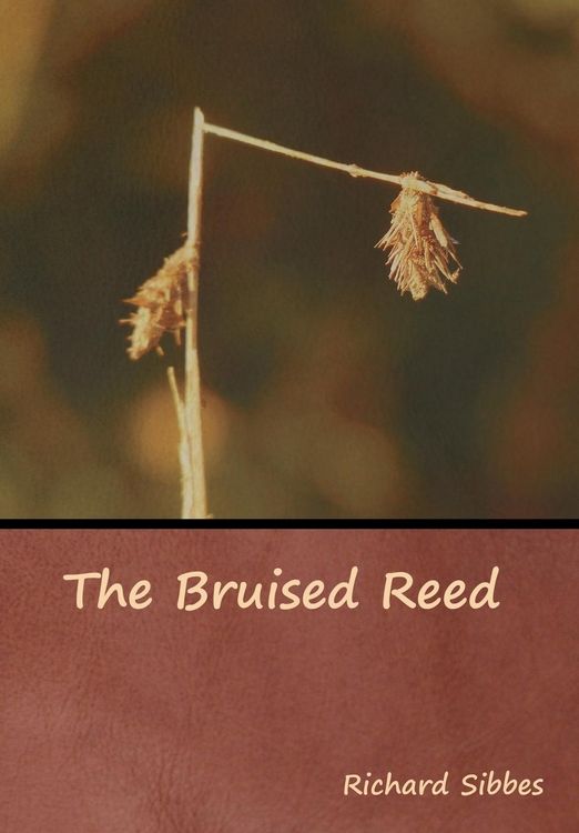 Produktbild: The Bruised Reed