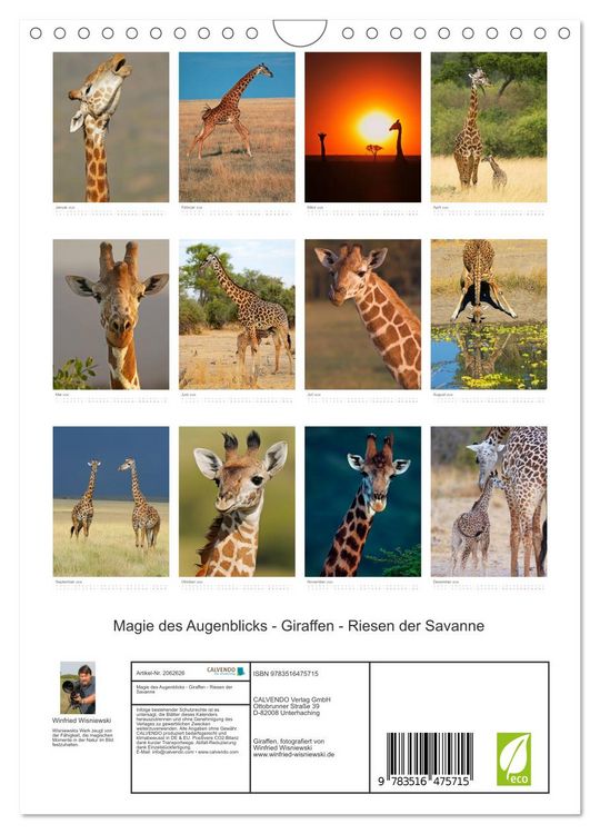 Produktbild: Magie des Augenblicks - Giraffen - Riesen der Savanne (Wandkalender 2026 DIN A4 hoch), CALVENDO Monatskalender