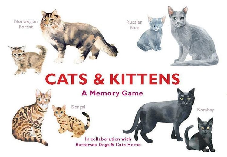 Produktbild: Cats & Kittens