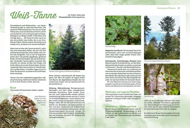 Produktbild: R&auml;uchern im Einklang mit der Natur