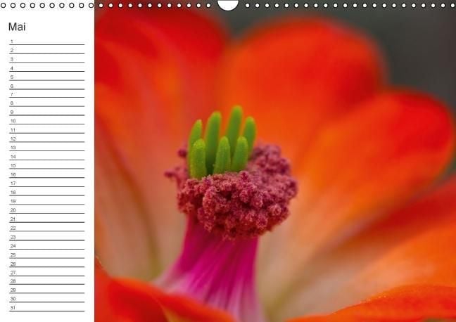 Produktbild: Ich denk an Dich ... Pers&ouml;nlicher Terminkalender (Wandkalender immerw&auml;hrend DIN A3 quer)
