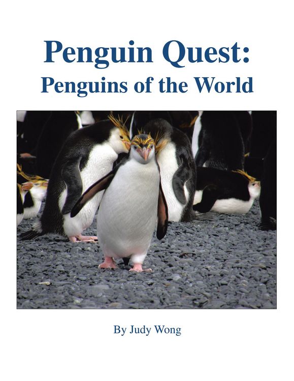 Produktbild: Penguin Quest: