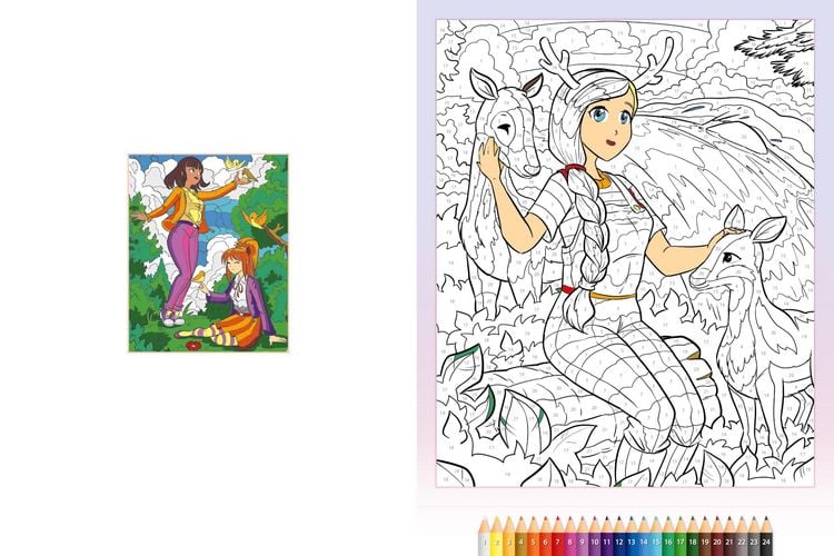 Produktbild: Malen nach Zahlen Manga