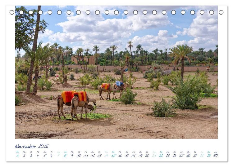 Produktbild: Marrakesch - Oase im W&uuml;stenstaub (Tischkalender 2026 DIN A5 quer), CALVENDO Monatskalender