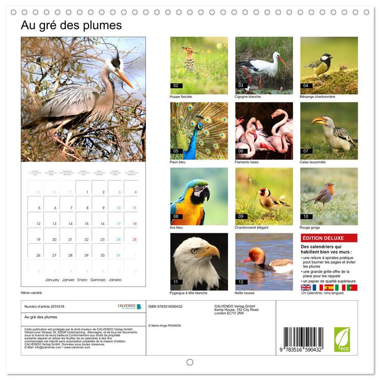 Produktbild: Au gr&eacute; des plumes (Calendrier mural carr&eacute; 2026 30x30 cm) Calendrier double avec une page pour vos prises de notes