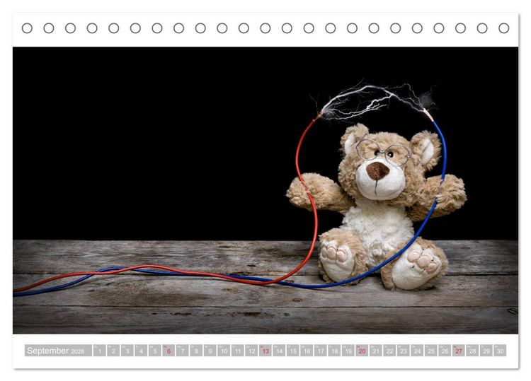 Produktbild: Eddy, der Teddy - 12 Bilder zum Schmunzeln (Tischkalender 2026 DIN A5 quer), CALVENDO Monatskalender