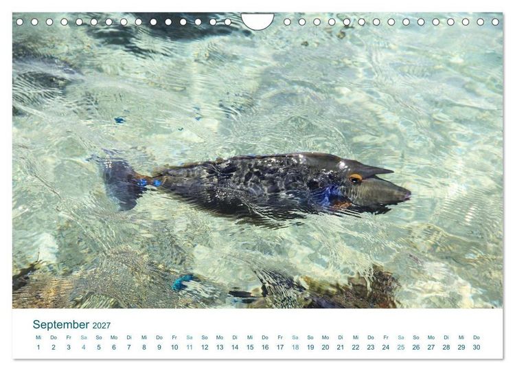 Produktbild: S&uuml;dsee-Insel Huahine - Paradies am Ende der Welt (Wandkalender 2027 DIN A4 quer), CALVENDO Monatskalender