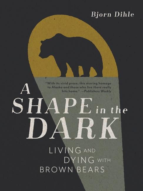 Produktbild: A Shape in the Dark