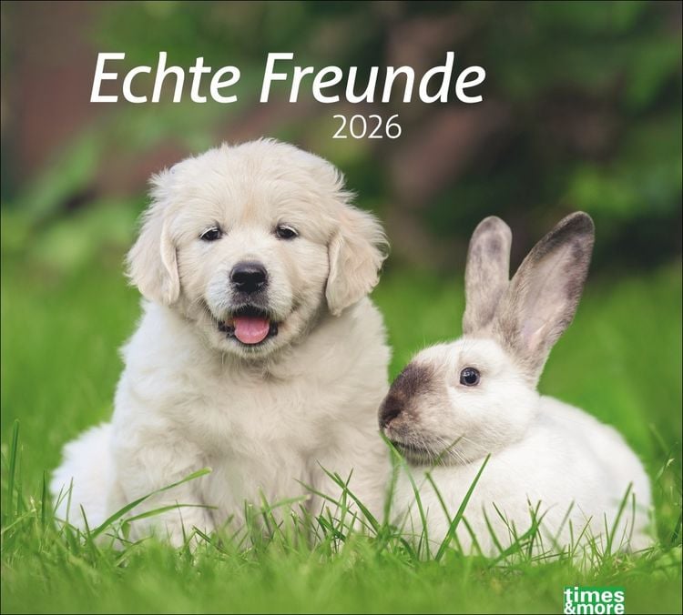 Produktbild: Times&more Echte Freunde Bildkalender 2026