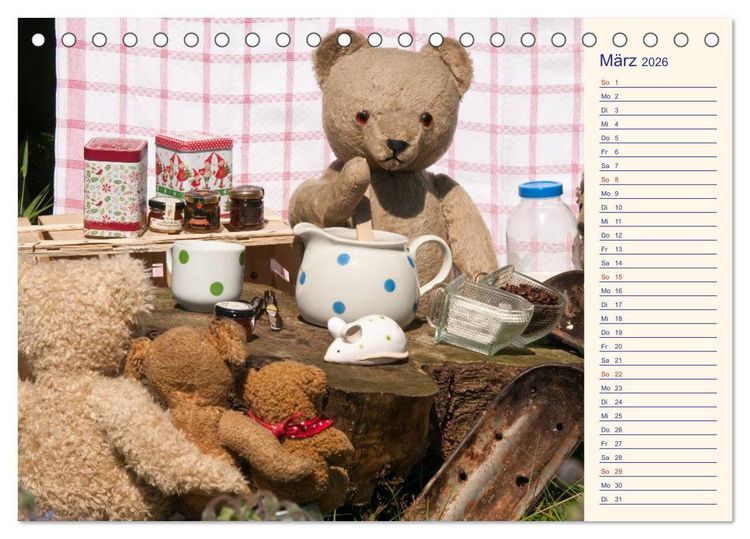 Produktbild: Geliebte B&auml;ren - Teddys (Tischkalender 2026 DIN A5 quer), CALVENDO Monatskalender
