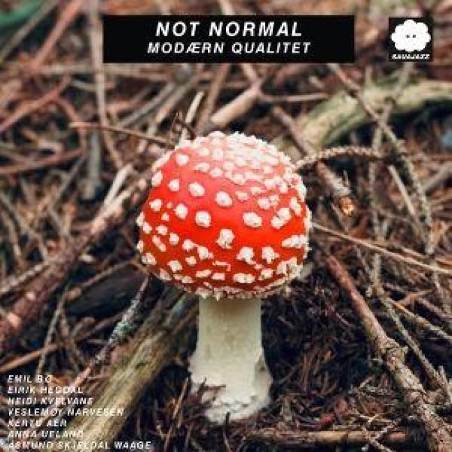 Produktbild: Mod'rn Qualitet