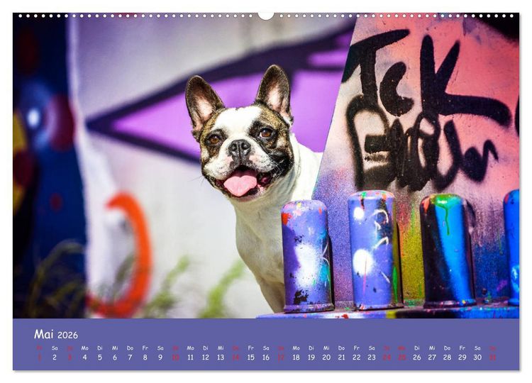 Produktbild: Hunde und Graffiti (Wandkalender 2026 DIN A2 quer), CALVENDO Monatskalender