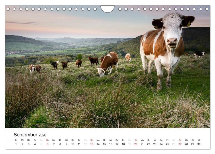 Produktbild: Naturerlebnis im Biosph&auml;renreservat Rh&ouml;n (Wandkalender 2026 DIN A4 quer), CALVENDO Monatskalender