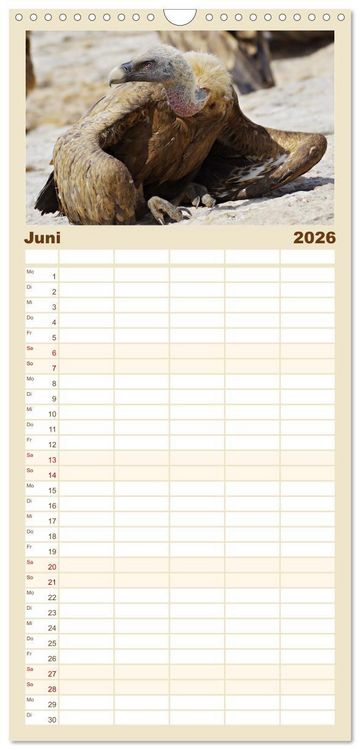 Produktbild: Familienplaner 2026 - Geier - die Gesundheitspolizei! mit 5 Spalten (Wandkalender, 21 x 45 cm) CALVENDO