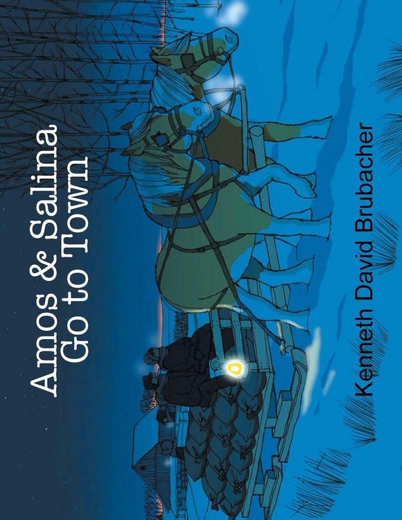 Produktbild: Amos & Salina Go to Town