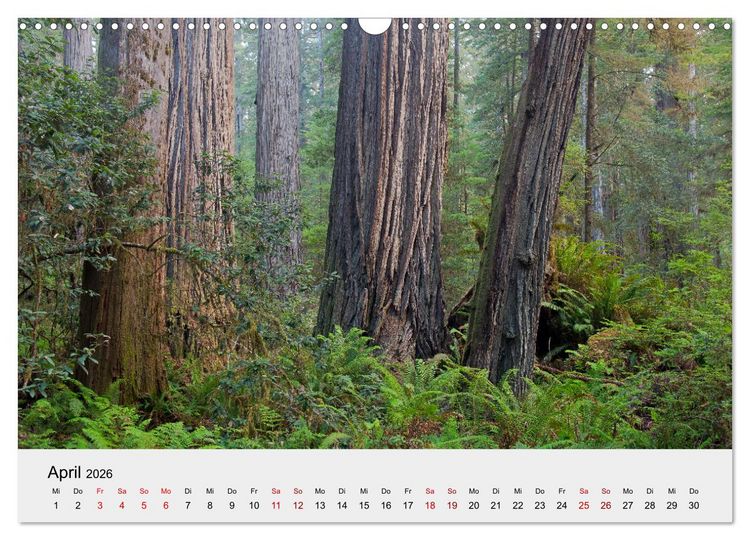 Produktbild: Kalifornien - K&uuml;sten und W&uuml;sten, St&auml;dte und Berge (Wandkalender 2026 DIN A3 quer), CALVENDO Monatskalender