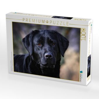Produktbild: CALVENDO Puzzle Labrador Retriever - Treue Begleiter | 1000 Teile Lege-Gr&ouml;&szlig;e 64x48cm Foto-Puzzle f&uuml;r gl&uuml;ckliche Stunden